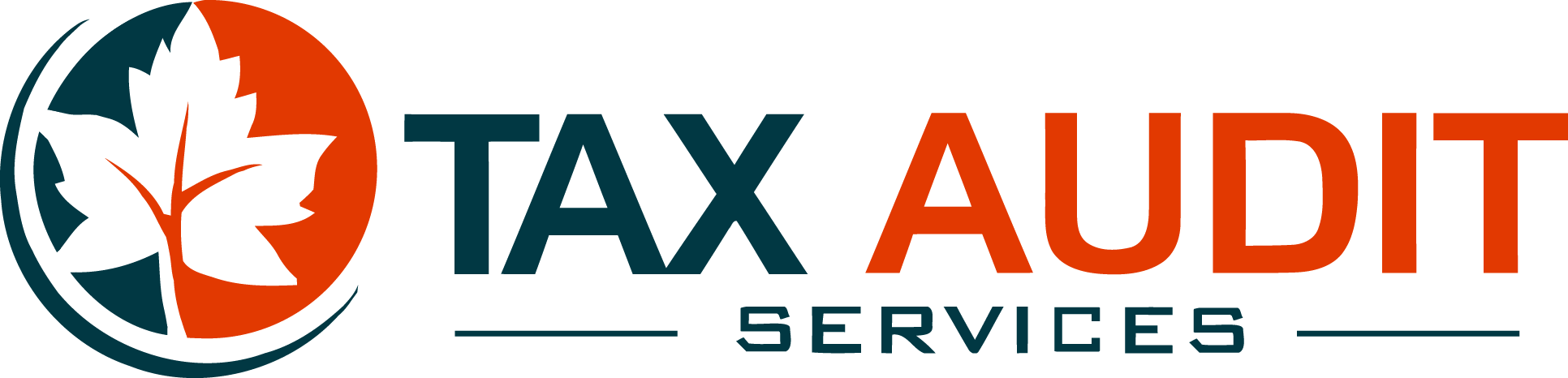 Tax Audit Services Tax Audit Services